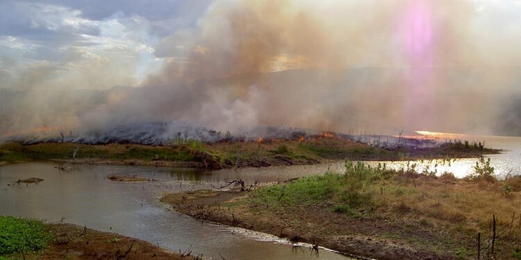 Harvesting Hope: The Impact of Climate Change on Agriculture