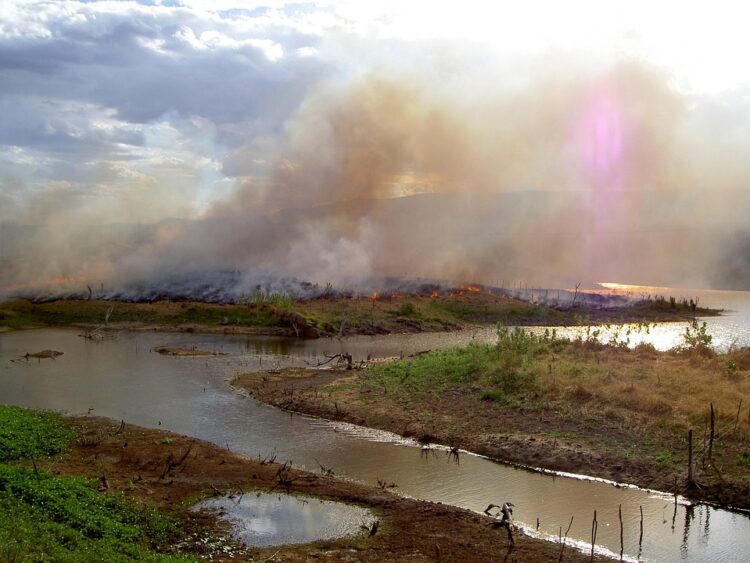 Harvesting Hope: The Impact of Climate Change on Agriculture