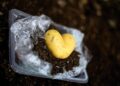 The Silent Killers: How Your Daily Habits are Destroying the Planet