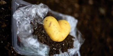 The Silent Killers: How Your Daily Habits are Destroying the Planet