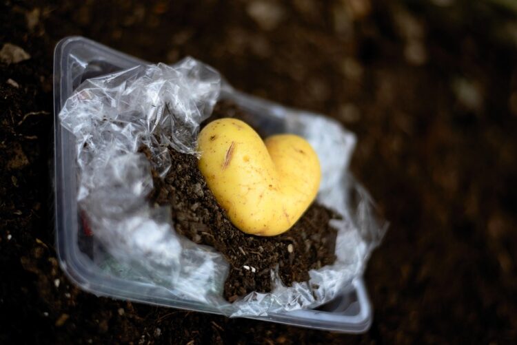 The Silent Killers: How Your Daily Habits are Destroying the Planet