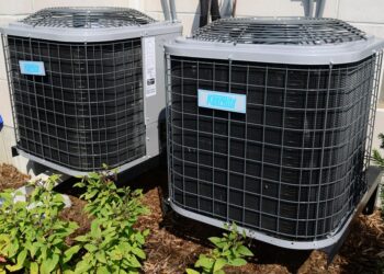 10 Must-Know Tips for Combatting Climate Change: A Guide to Global Warming Awareness