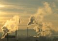 The Last Generation: The Devastating Impact of Human Activity on Our Planet