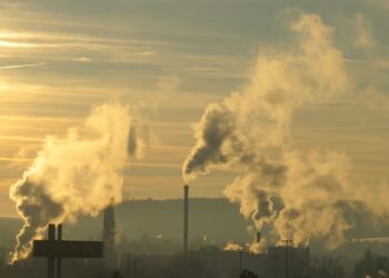 The Last Generation: The Devastating Impact of Human Activity on Our Planet