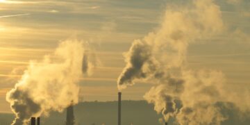 The Last Generation: The Devastating Impact of Human Activity on Our Planet