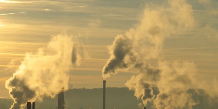 The Last Generation: The Devastating Impact of Human Activity on Our Planet