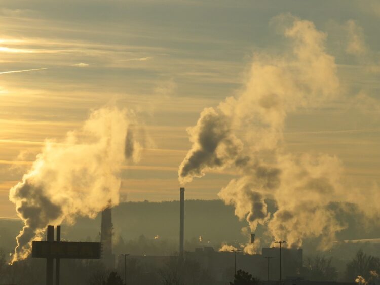 The Last Generation: The Devastating Impact of Human Activity on Our Planet