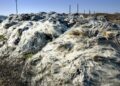 Taking Action: Practical Steps to Combat Global Warming