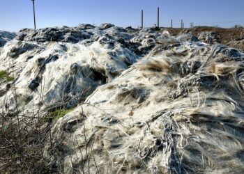 Taking Action: Practical Steps to Combat Global Warming