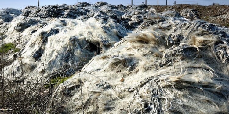 Taking Action: Practical Steps to Combat Global Warming