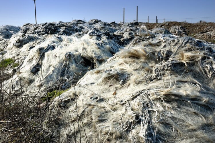 Taking Action: Practical Steps to Combat Global Warming