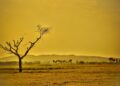 The Unseen Enemy: Uncovering the Root Causes of Global Warming