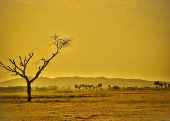 The Unseen Enemy: Uncovering the Root Causes of Global Warming
