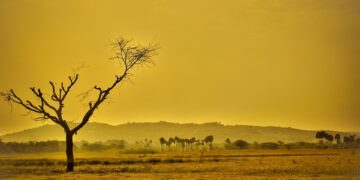 The Unseen Enemy: Uncovering the Root Causes of Global Warming