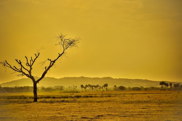 The Unseen Enemy: Uncovering the Root Causes of Global Warming