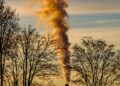 Vanishing Forests, Rising Temperatures: The Urgent Link Between Deforestation and Climate Change