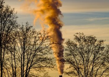 Vanishing Forests, Rising Temperatures: The Urgent Link Between Deforestation and Climate Change