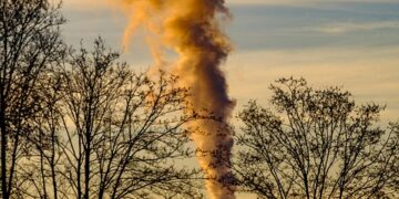 Vanishing Forests, Rising Temperatures: The Urgent Link Between Deforestation and Climate Change